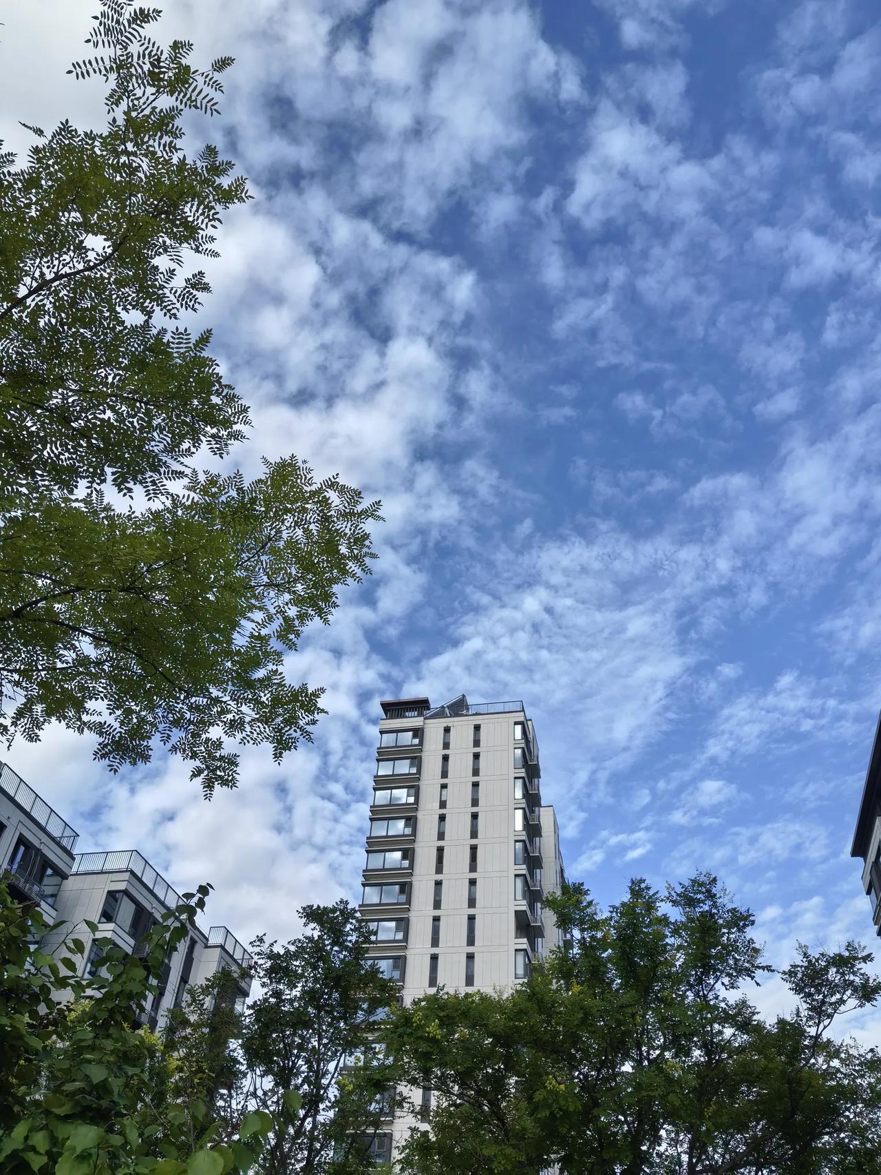 分享一张最近随手拍的照片小区一景看蓝天白云楼宇绿茵