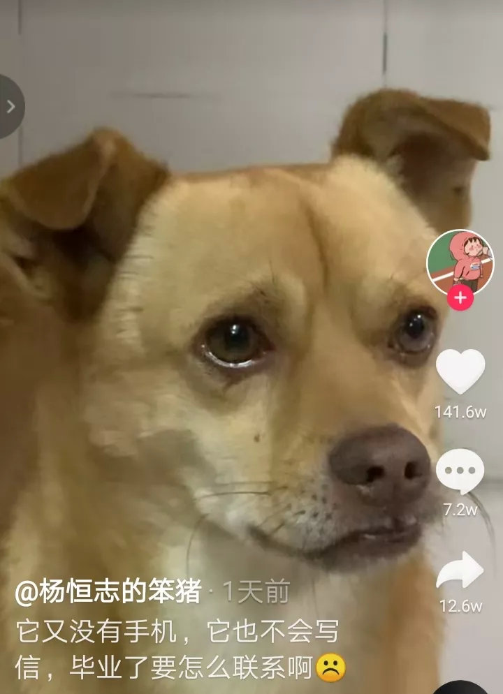 海安中学的大黄每年要送走很多毕业生，一批又一批，从大黄的脸上看到了落寞和忧伤，还