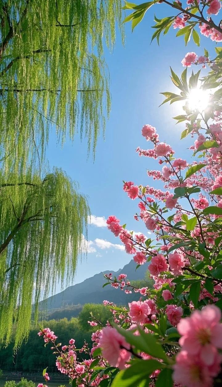 生活中你感觉到幸福吗？？
幸福感从来不在远方，
就在当下的每一件小事里。
少一点