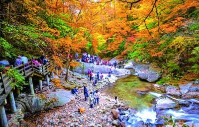 今日新闻（2025年11月16日）
 
国内新闻
 
- 刘国梁当选国际乒联执行