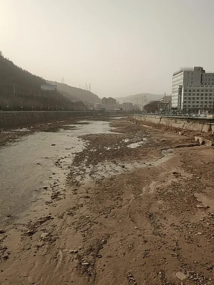 晒图笔记大赛沙尘暴