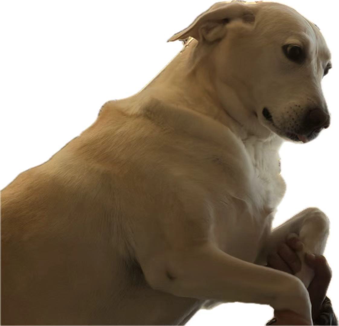 相册一键抠图，怎么背景还是白的不应该是透明的吗？ 