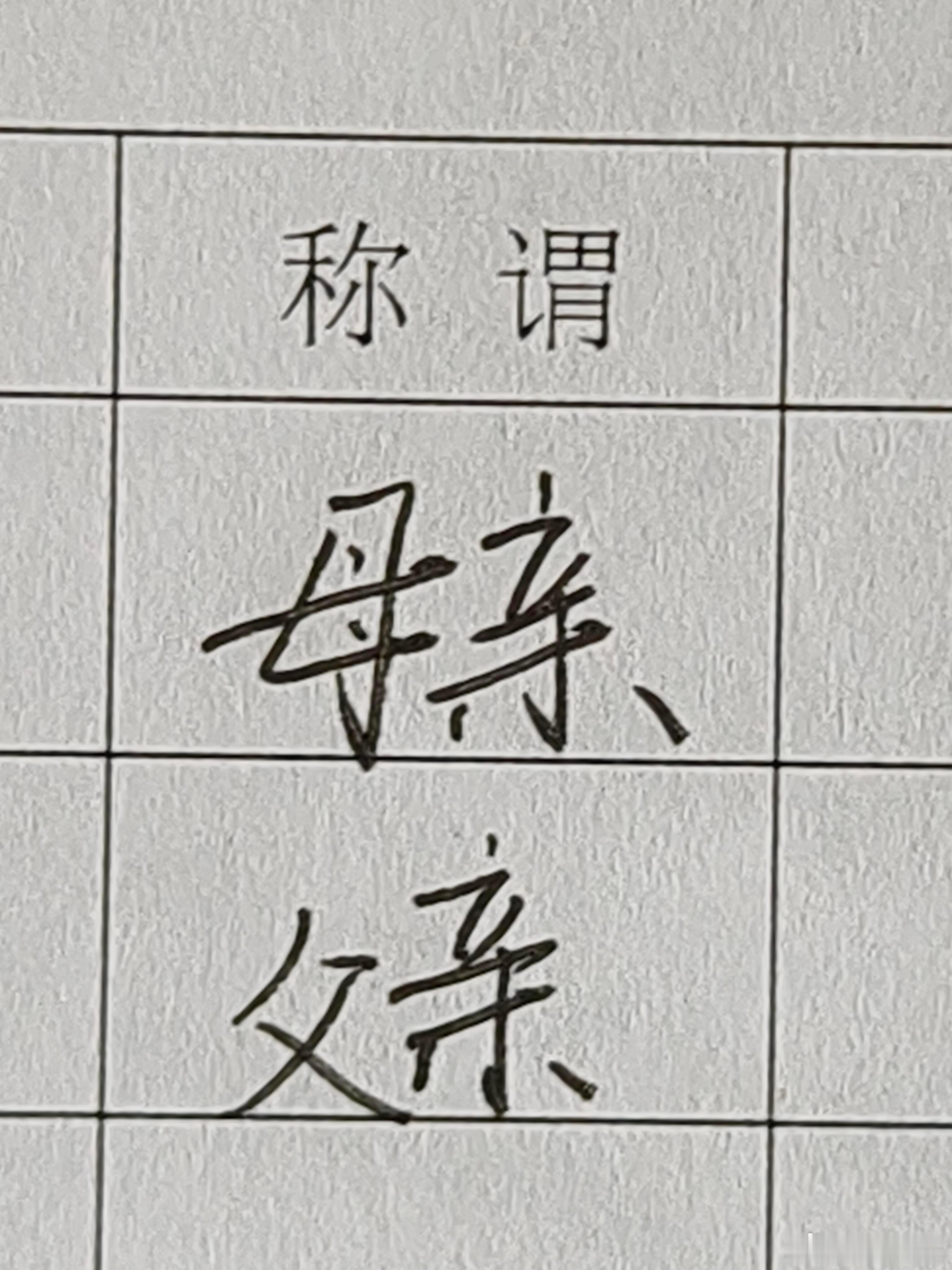因为政审表先写了“母亲”和妈妈争辩 