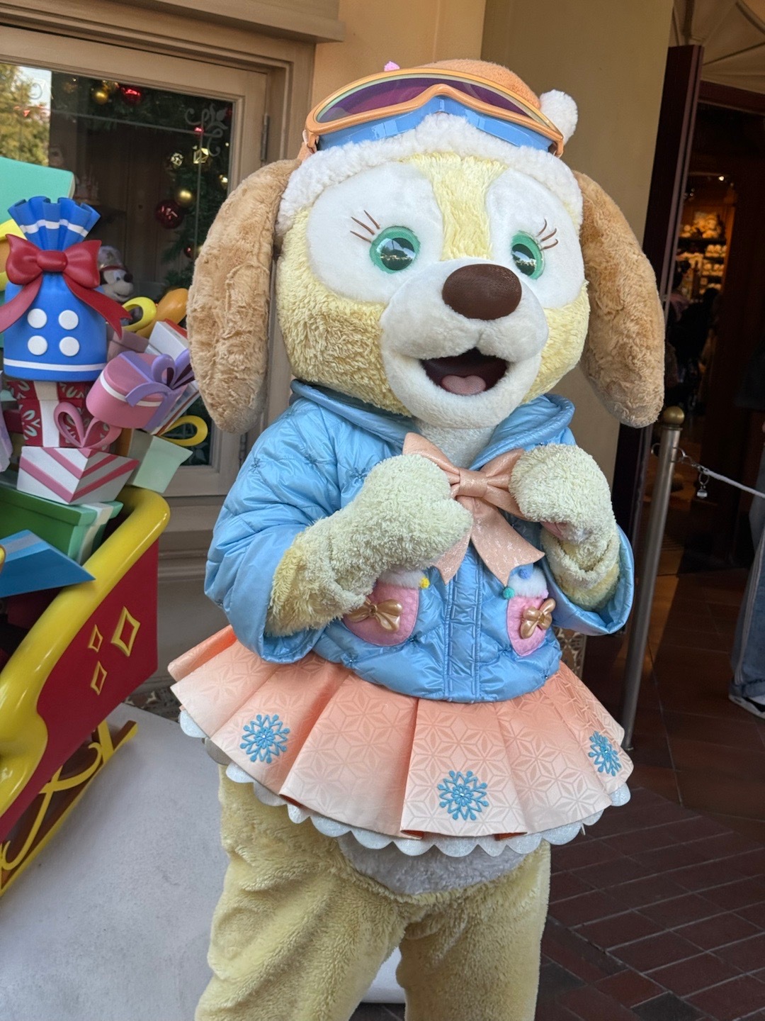 看到了黄油小修狗饼饼 