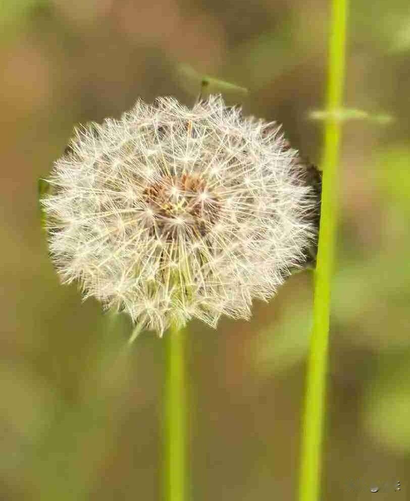 今天5月15日，星期五，最高气温是零上21度，最低气温是零上13度，空气质量优，