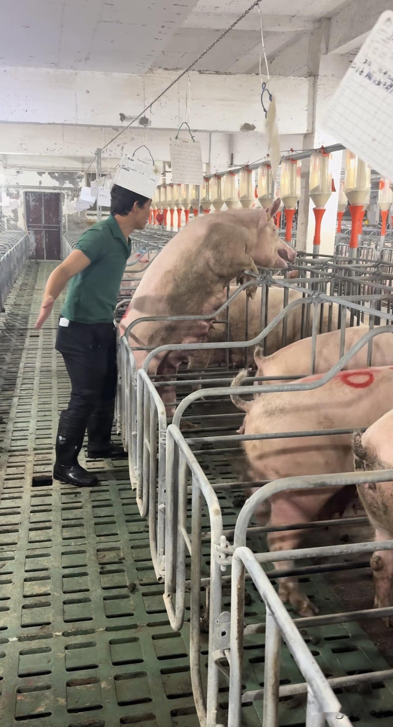 新思维：唯道主义破局新质生产力发展误区

新质生产力依托科技创新重构产业格局，是