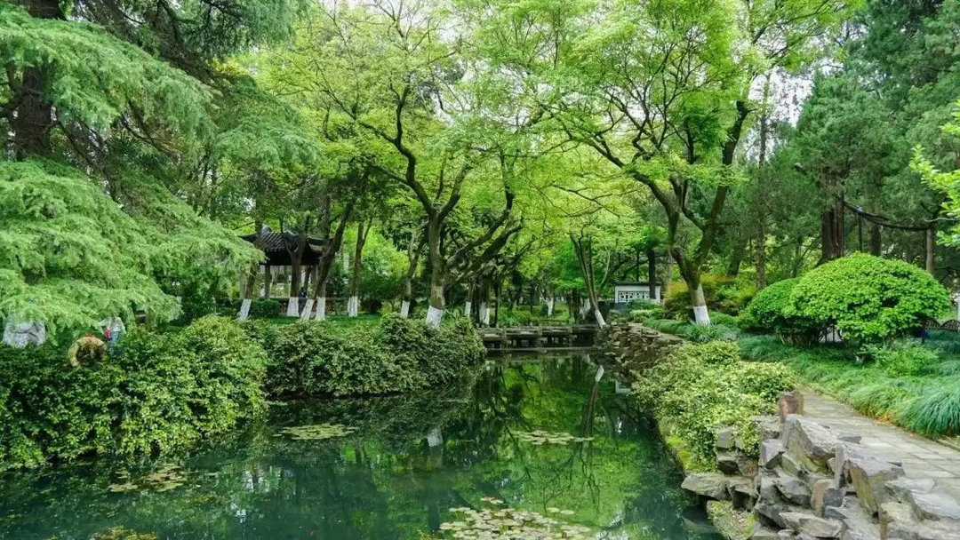 早安，三无量。绿树阴浓夏日长，楼台倒影入池塘。 