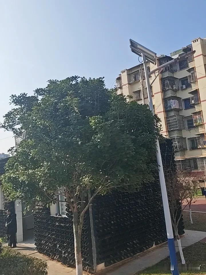 分享一下你随手拍的照片