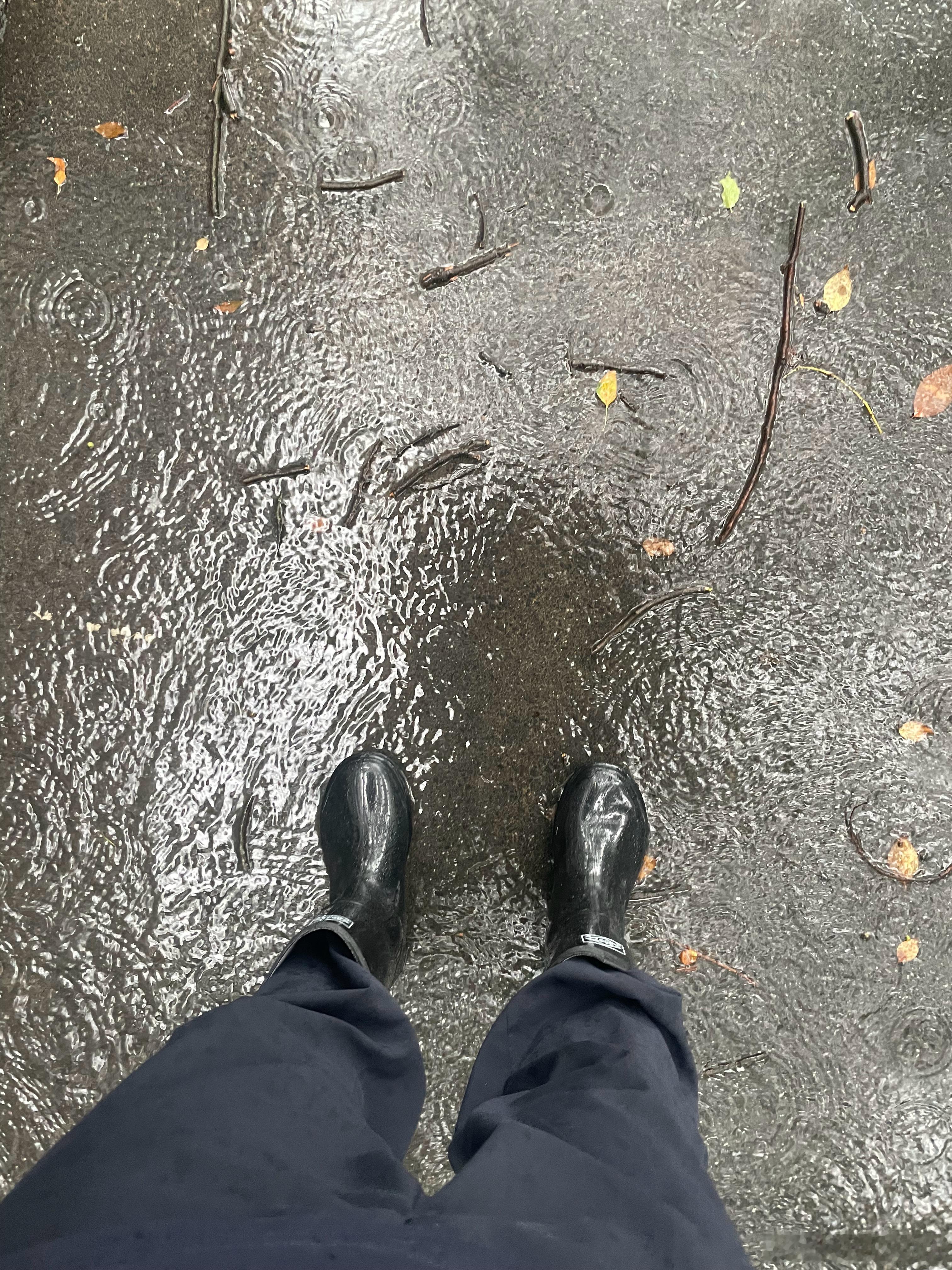 吃顿早饭全湿光了，鸟为食亡。 
