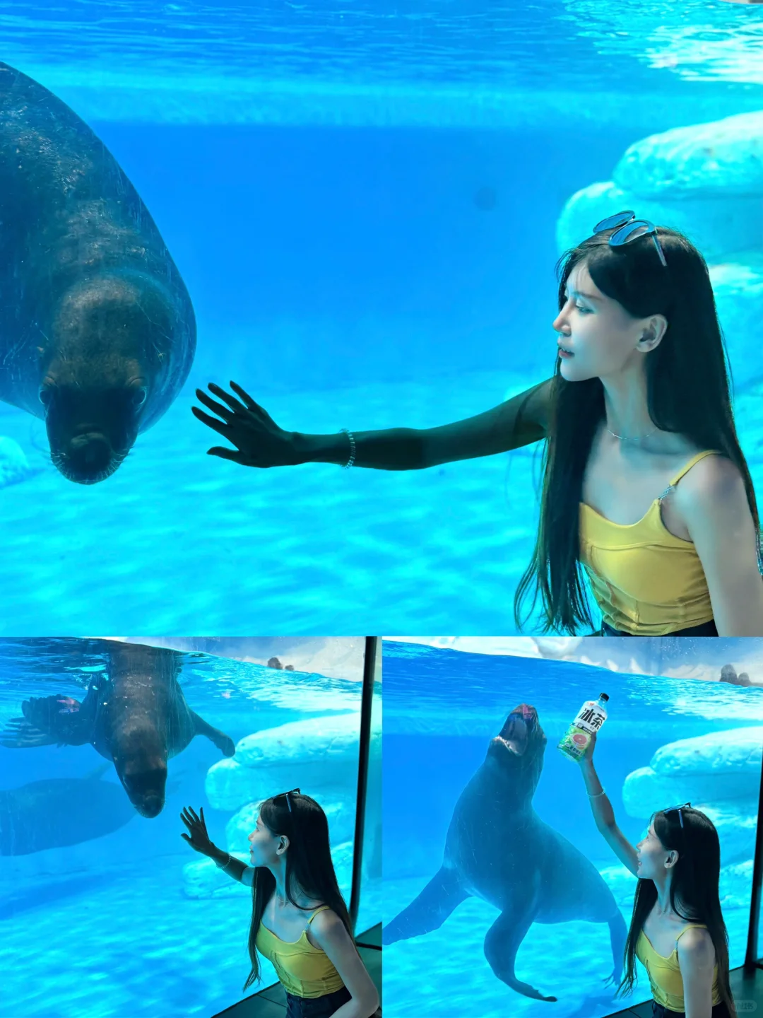 夏日度假必去❗️玩水看表演还有美人鱼🧜‍♀️