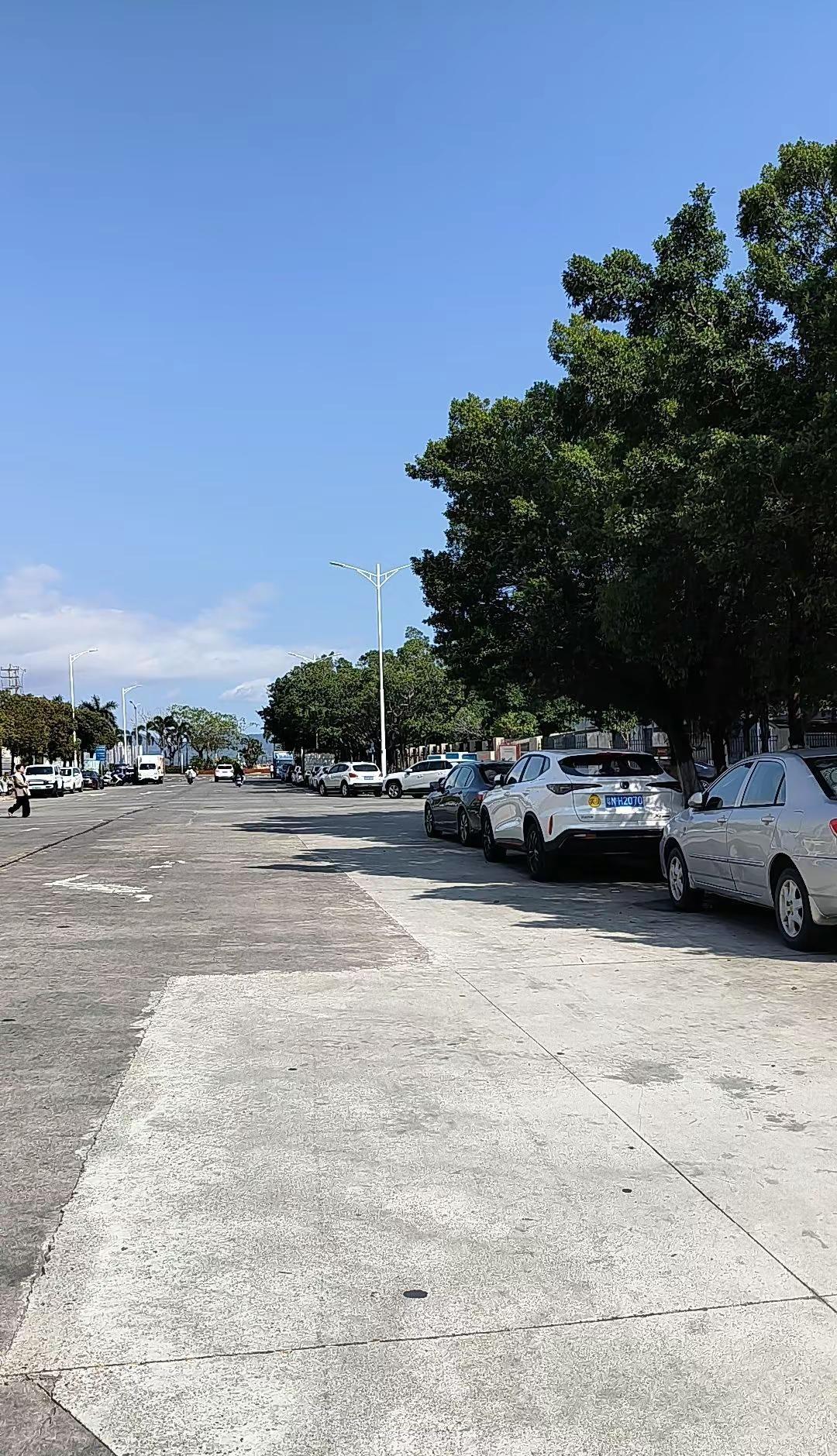 我们广东汕尾阳光明媚。