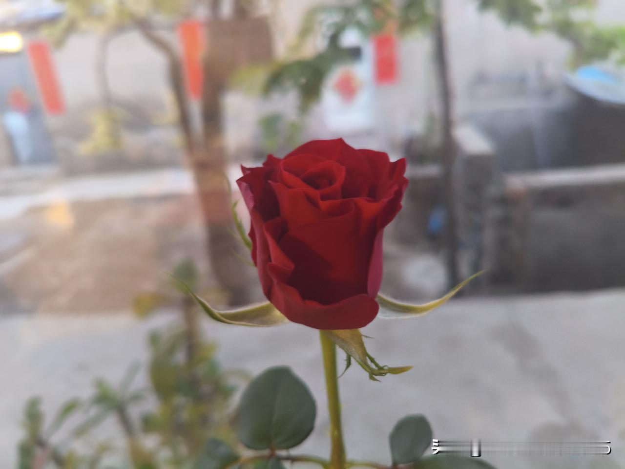 男人爱女人的时刻还挺多样。在感情初期，男人会因浅层心动而爱，可能是被女人的笑容、