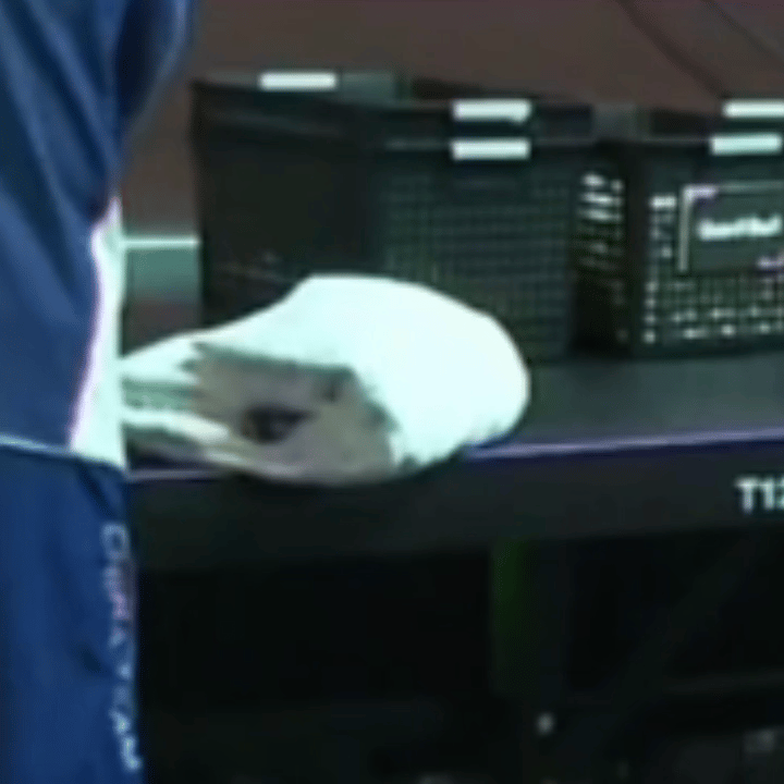 莎姐就这样认真手搓以后郑重交接😂 