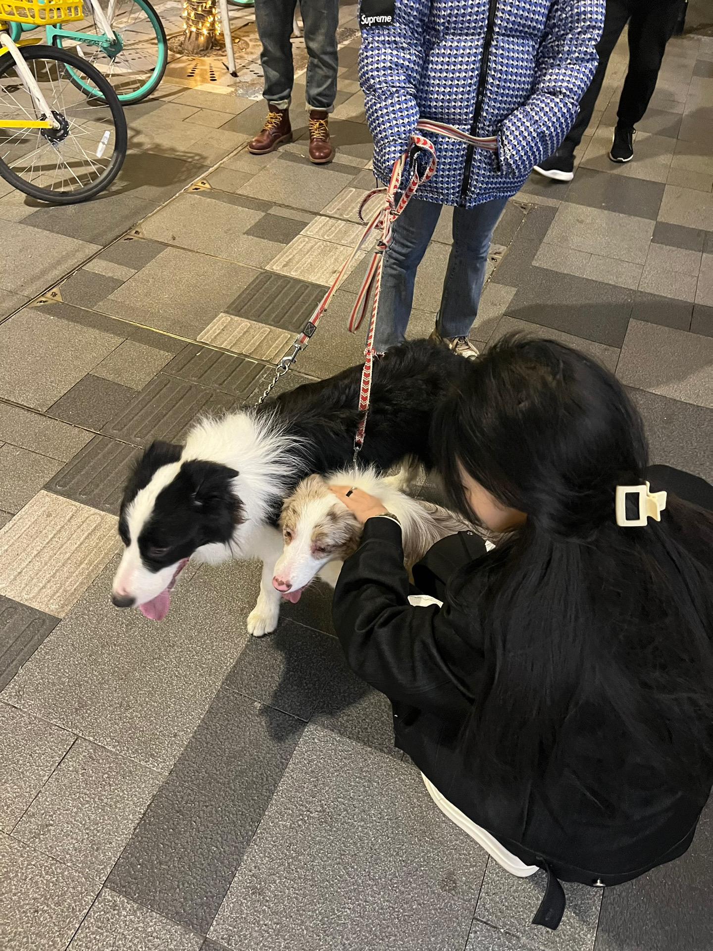 这个世界对你这么温柔 自己也要加把劲啊.