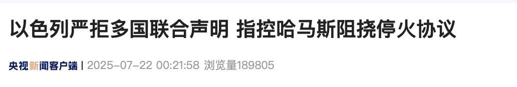 英法等25国发布联合声明要求以色列停止对加沙人民的杀害，发布没多久以色列就回应了