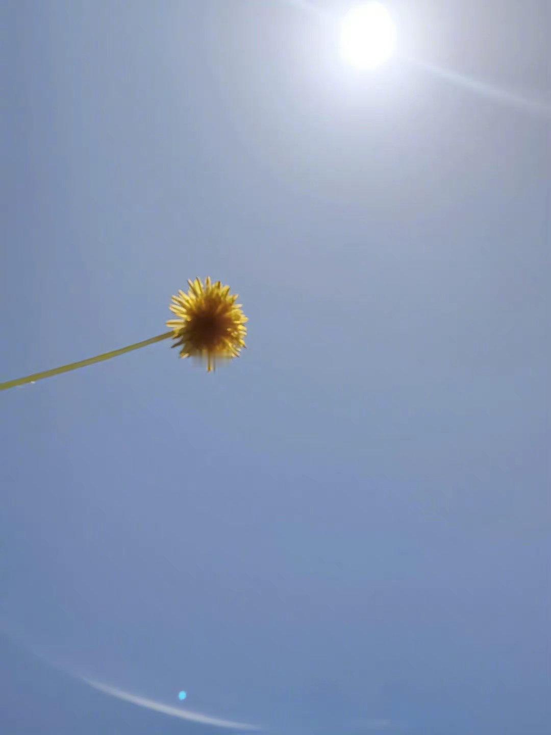 我们终究无法和解 ，你已经不是我记忆中的那个人了 ，或许我爱的只是十年前我认识的