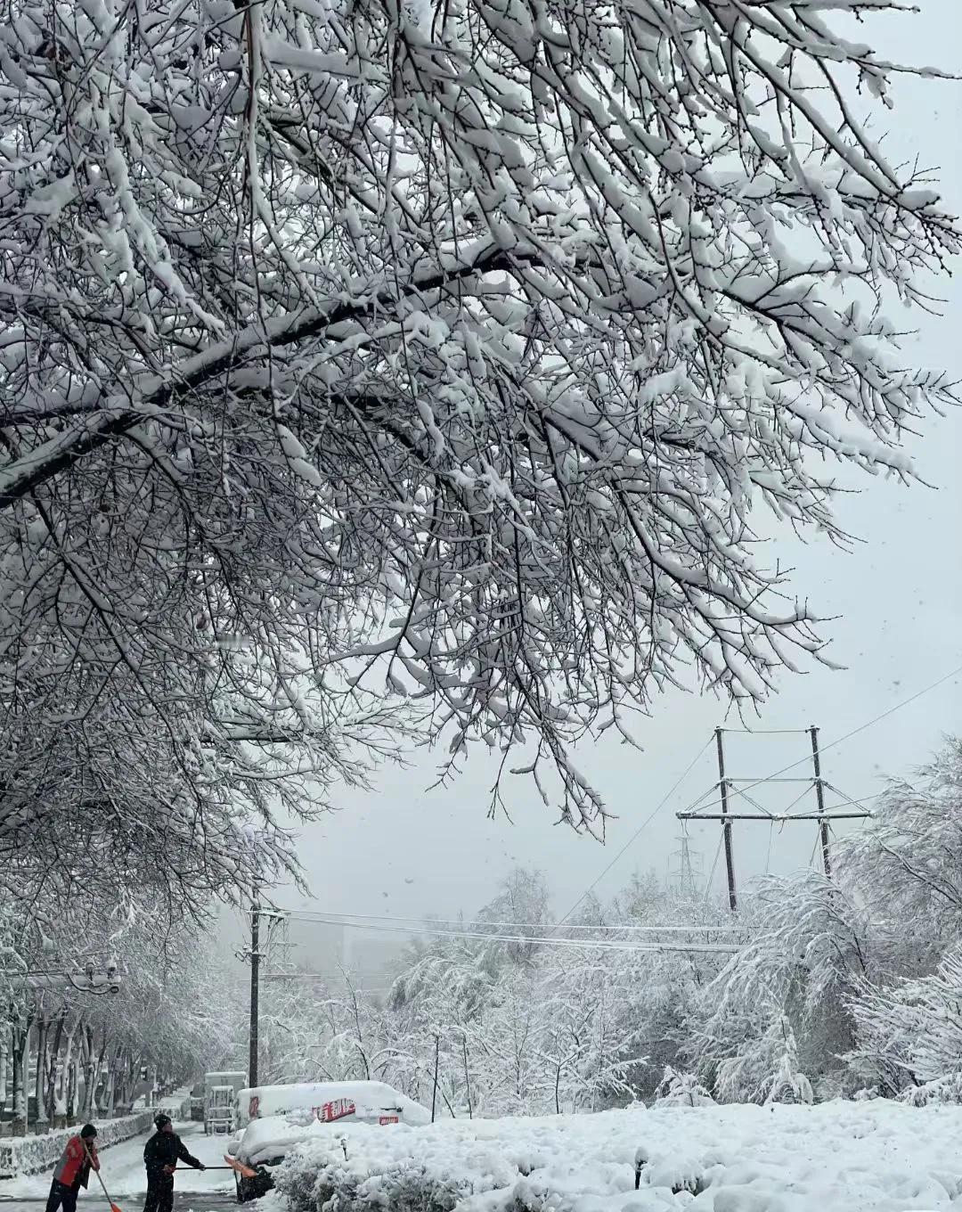 记伊宁市2025年的第一场雪🌨⛄️，白雪皑皑。
祝南京农业大学马帅博士工作生活