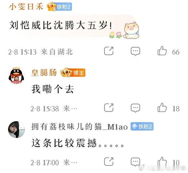 沈腾比刘恺威小五岁刘恺威居然比沈腾大五岁，有点意思。刘恺威比沈腾年纪大