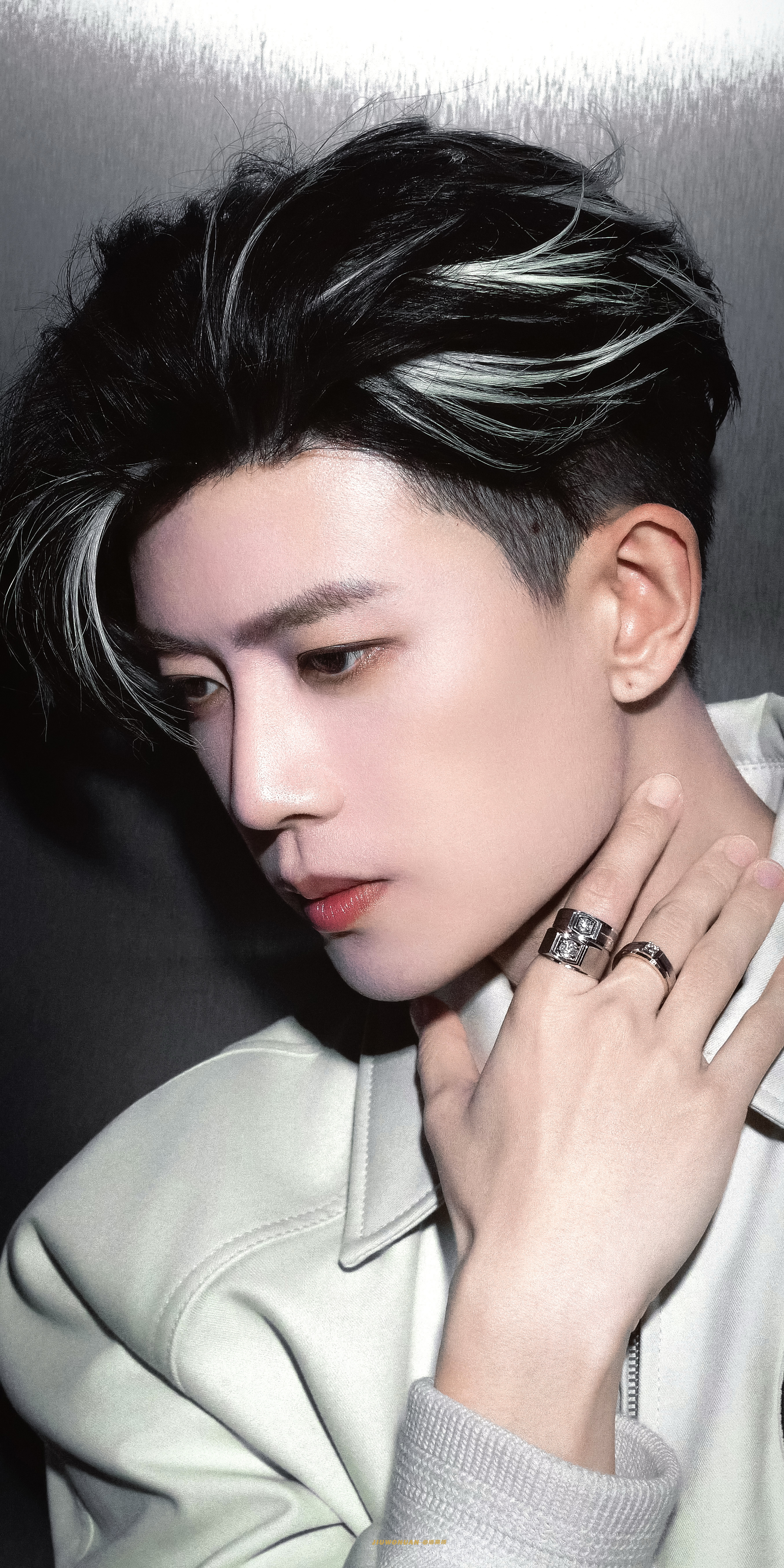 任嘉伦. 任嘉伦音乐节 ​​​