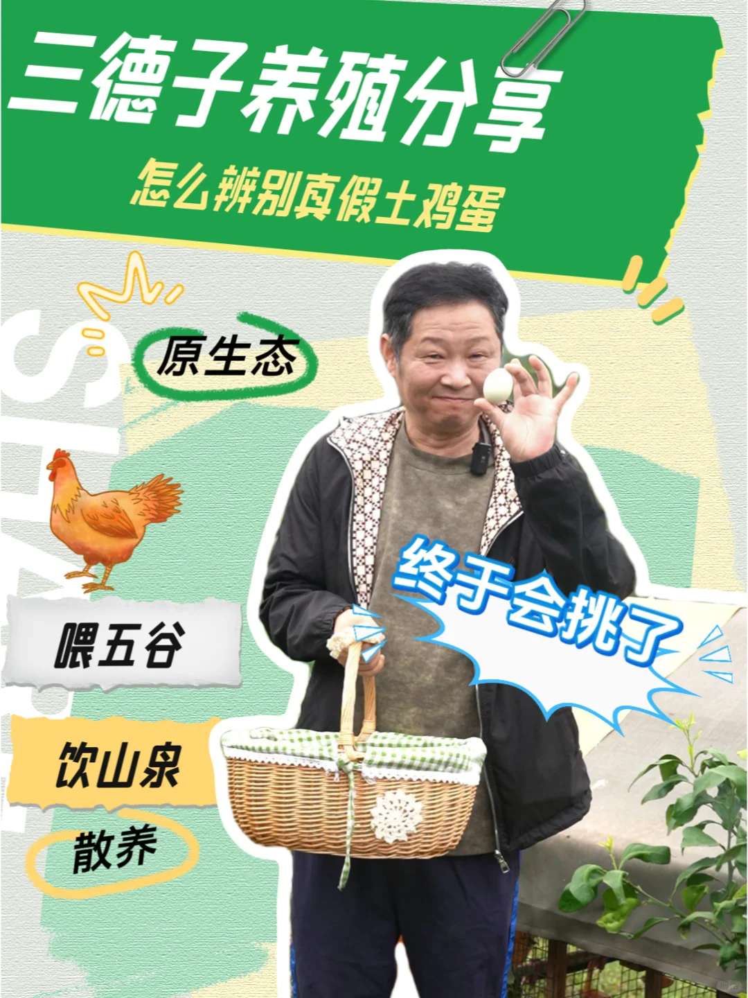 三德子老师，教你怎么辨别土鸡蛋