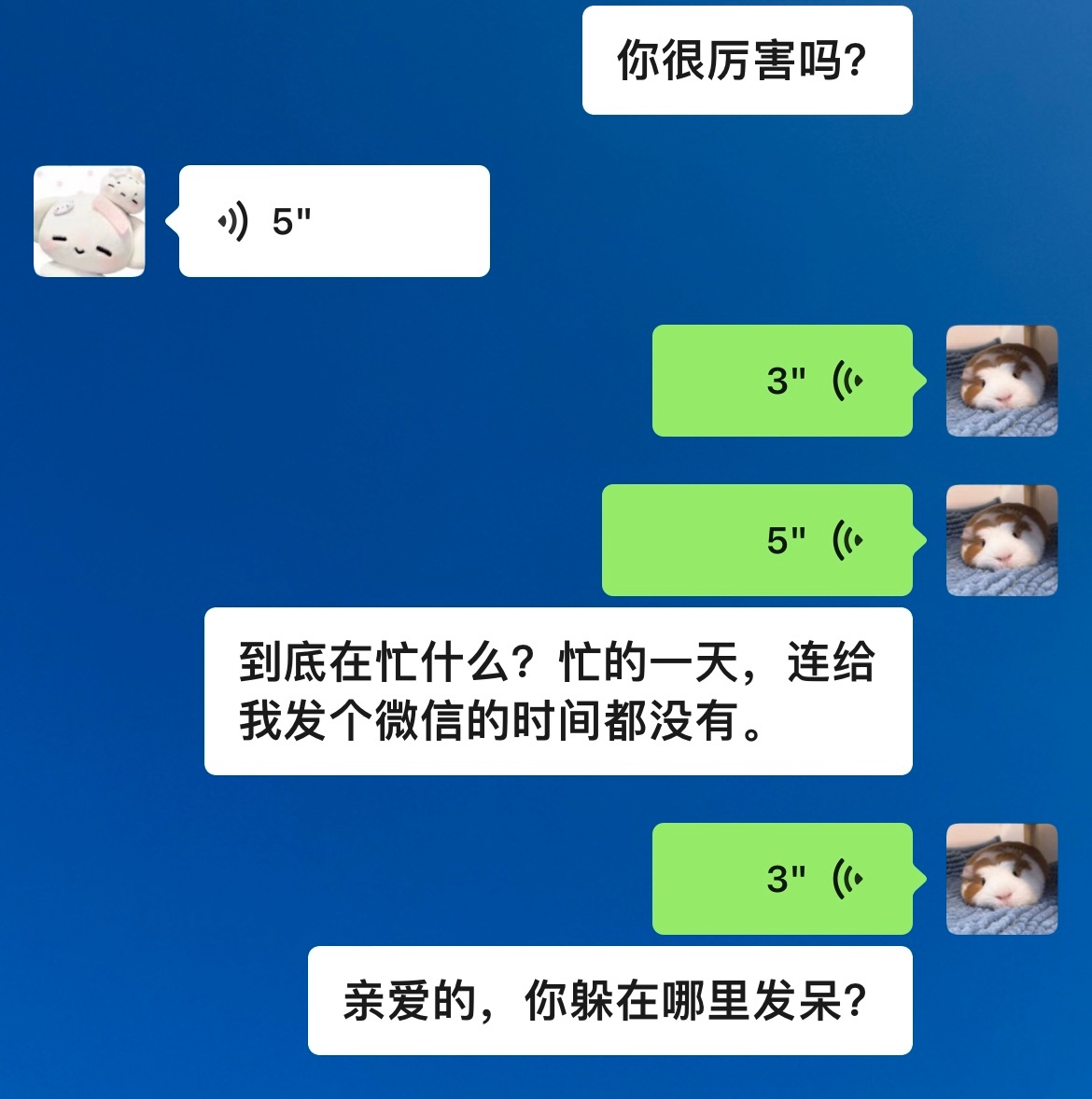 闹够了 睡觉 