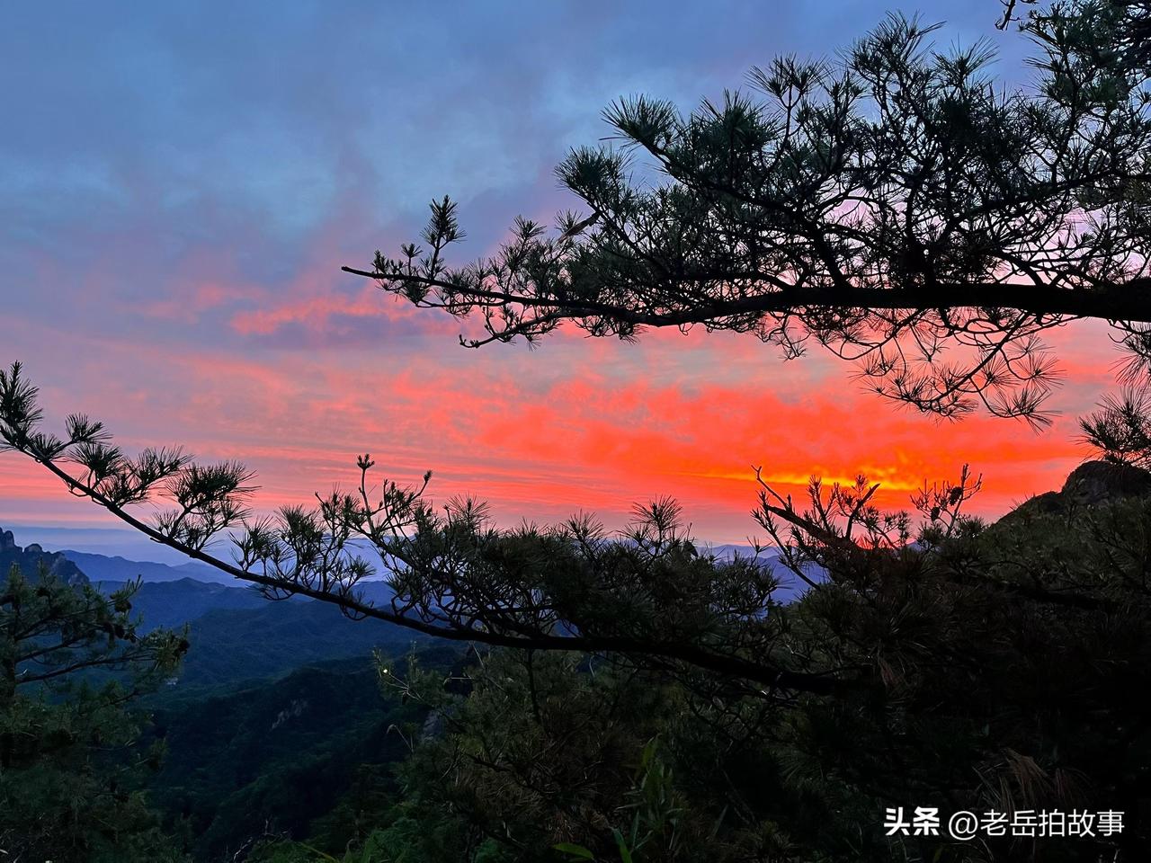 现在开出租车的也不容易啊！刚刚(凌晨一点左右)途经秦岭路陇海路交叉口时，看到该路
