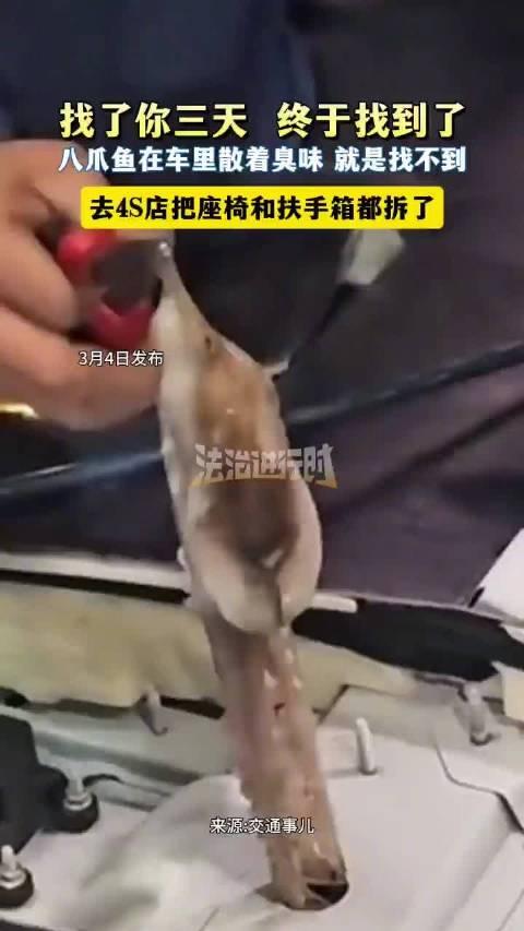 八爪鱼自驾游3天不买票，4S店修车修出海鲜大餐！‌
车主：我车里有鬼！
4S店师