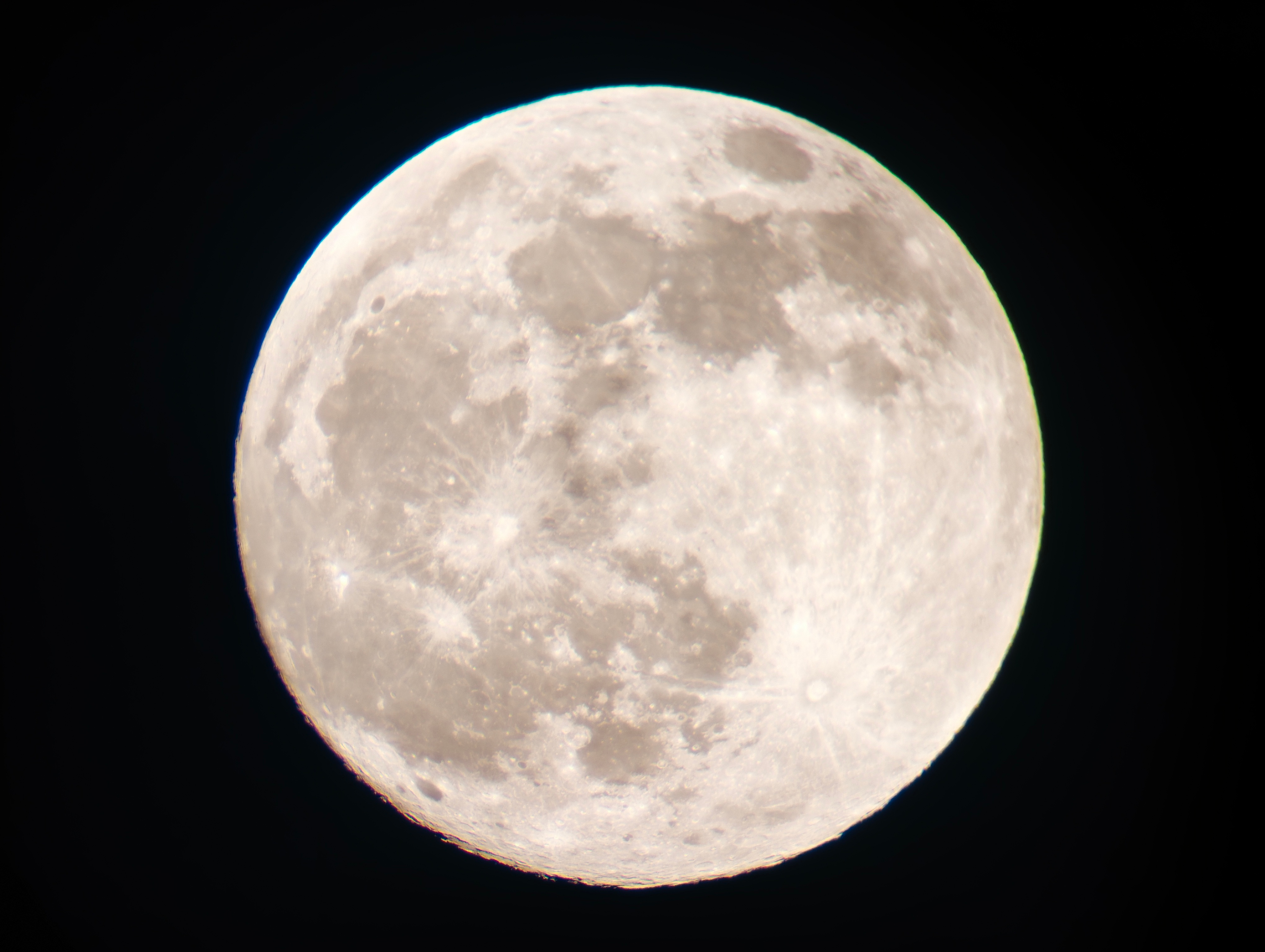 中秋快乐！(｡･ω･)ﾉ🌕 ​​​