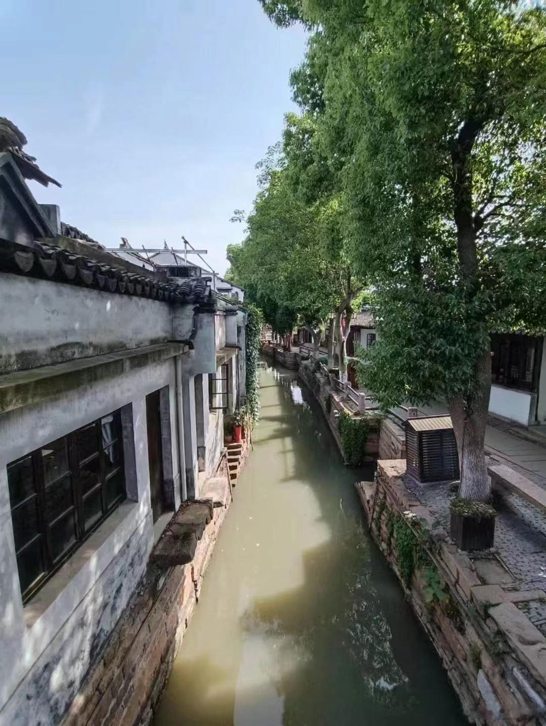 治疗“不死癌症”——关节炎，600年家传妙方，赶紧收藏！[赞]沈绍功、沈宁 《素