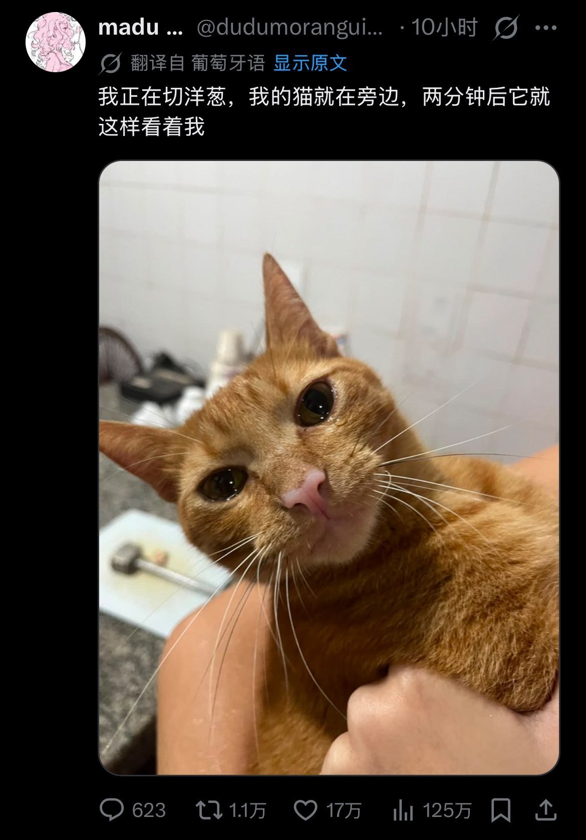 干嘛…… 