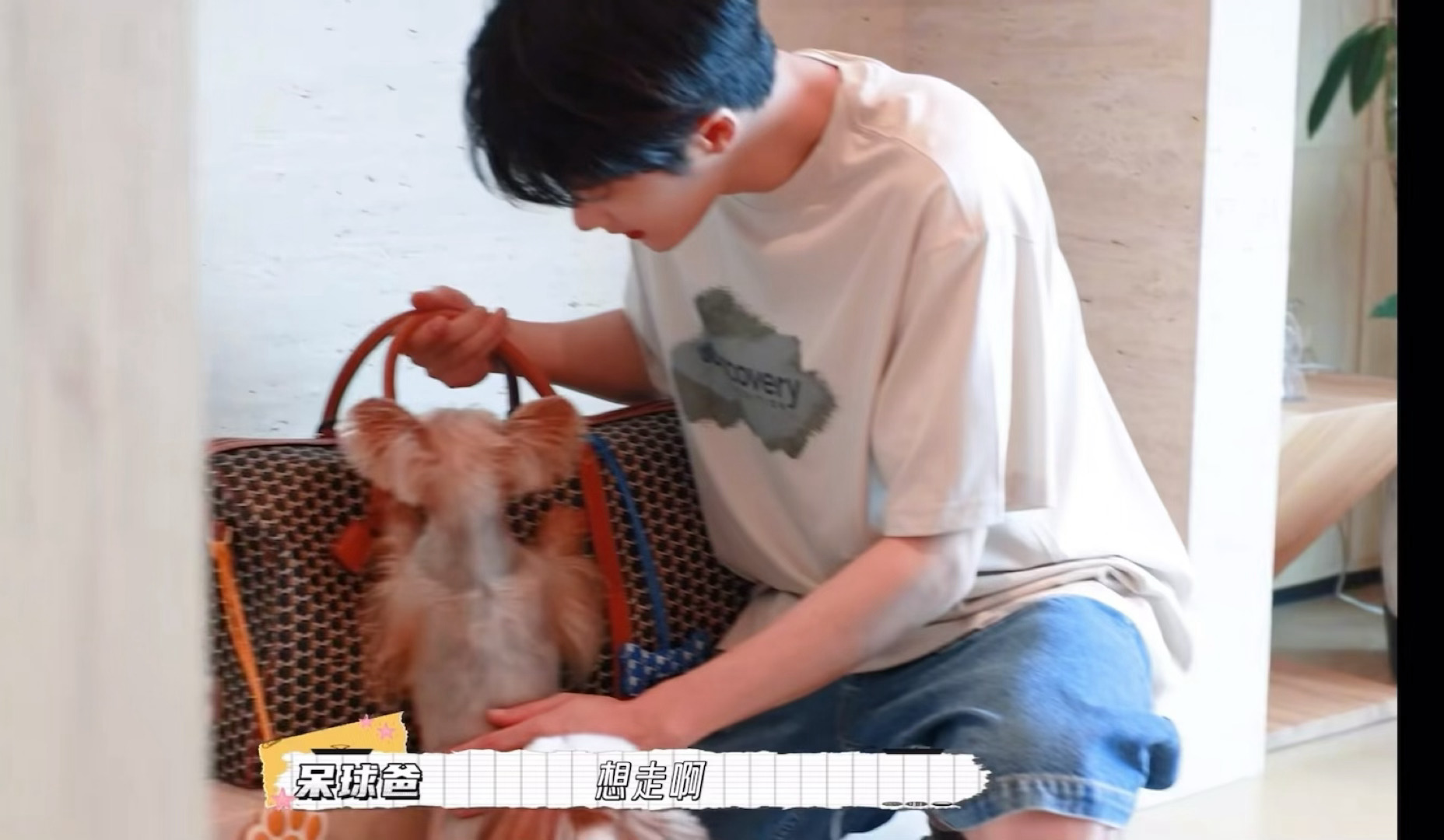 一和呆球说话就自动变成夹子了，好喜欢听😣 ​​​