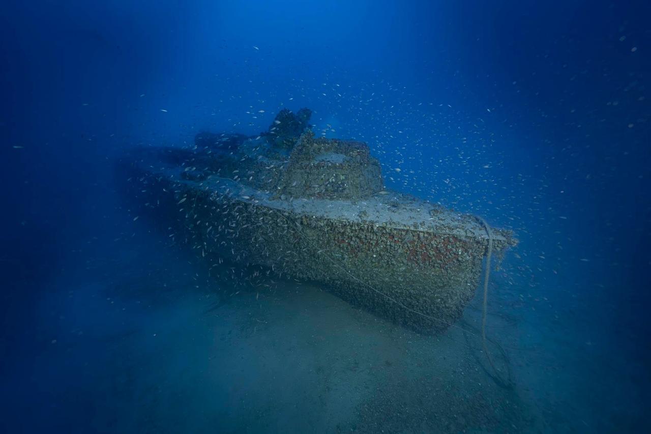 Schnellboote”的缩写，意为轻型快速攻击艇/轻型S艇。LS艇设计初衷由