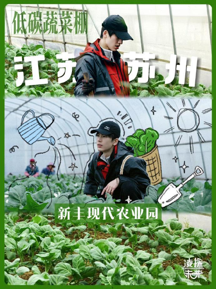 张凌赫凌探未来开播海报张凌赫见证能源转型共赴绿色未来 张凌赫凌探未来开播海报，张