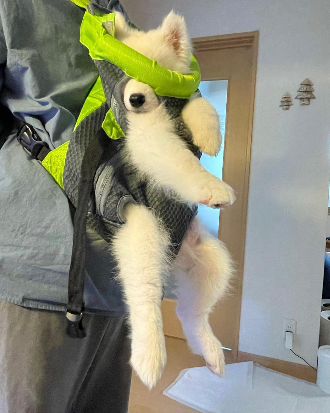 嗯？您是要带我去什么秘密基地吗？ 