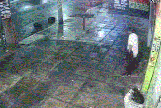 狗：我是真的狗🐶，你也是真的狗🐶啊！