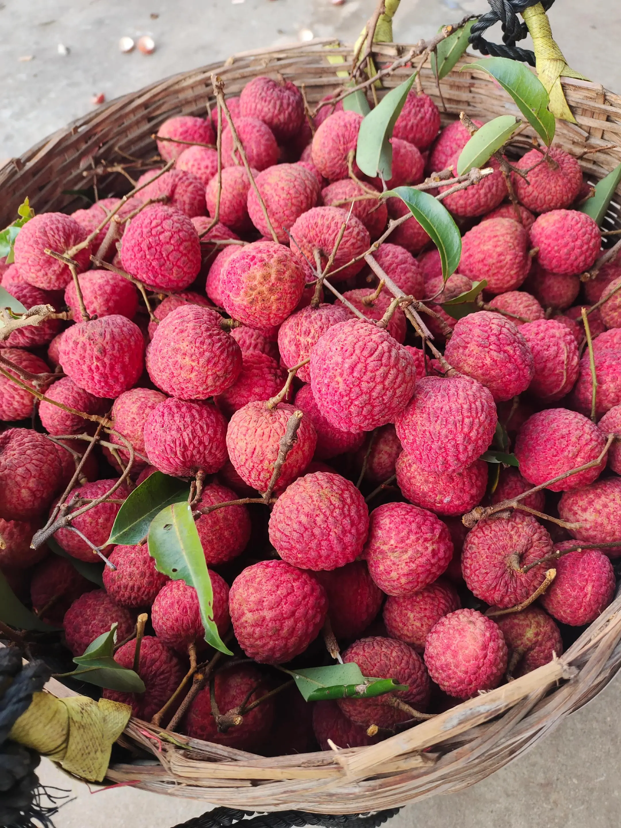 正宗糯米糍荔枝，软糯香甜，肉厚多汁自家果园