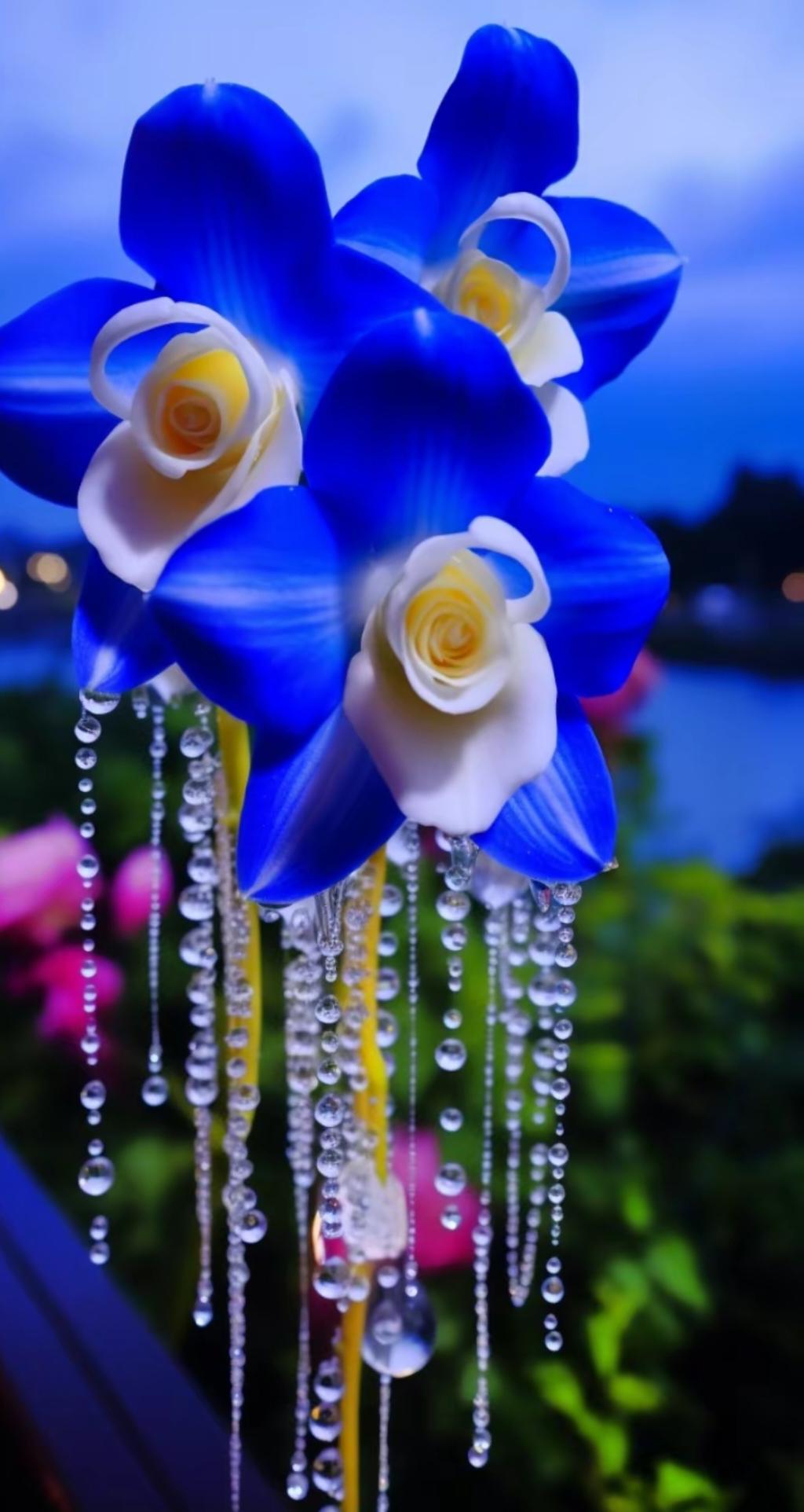 标题：家乡风景越来越好，生活也越来越踏实
看着家乡越变越美，心里特别欣慰。
现在