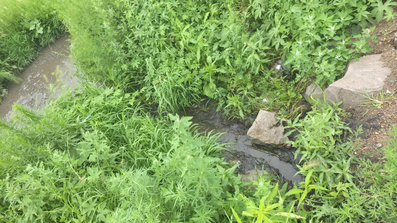 夏日生活打卡季