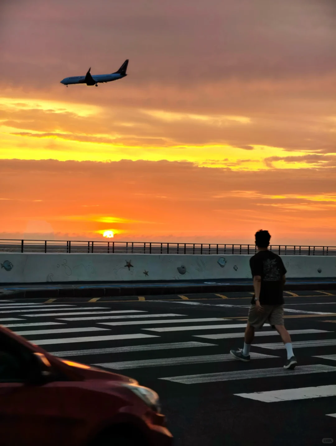 在济州岛拍到人生图片