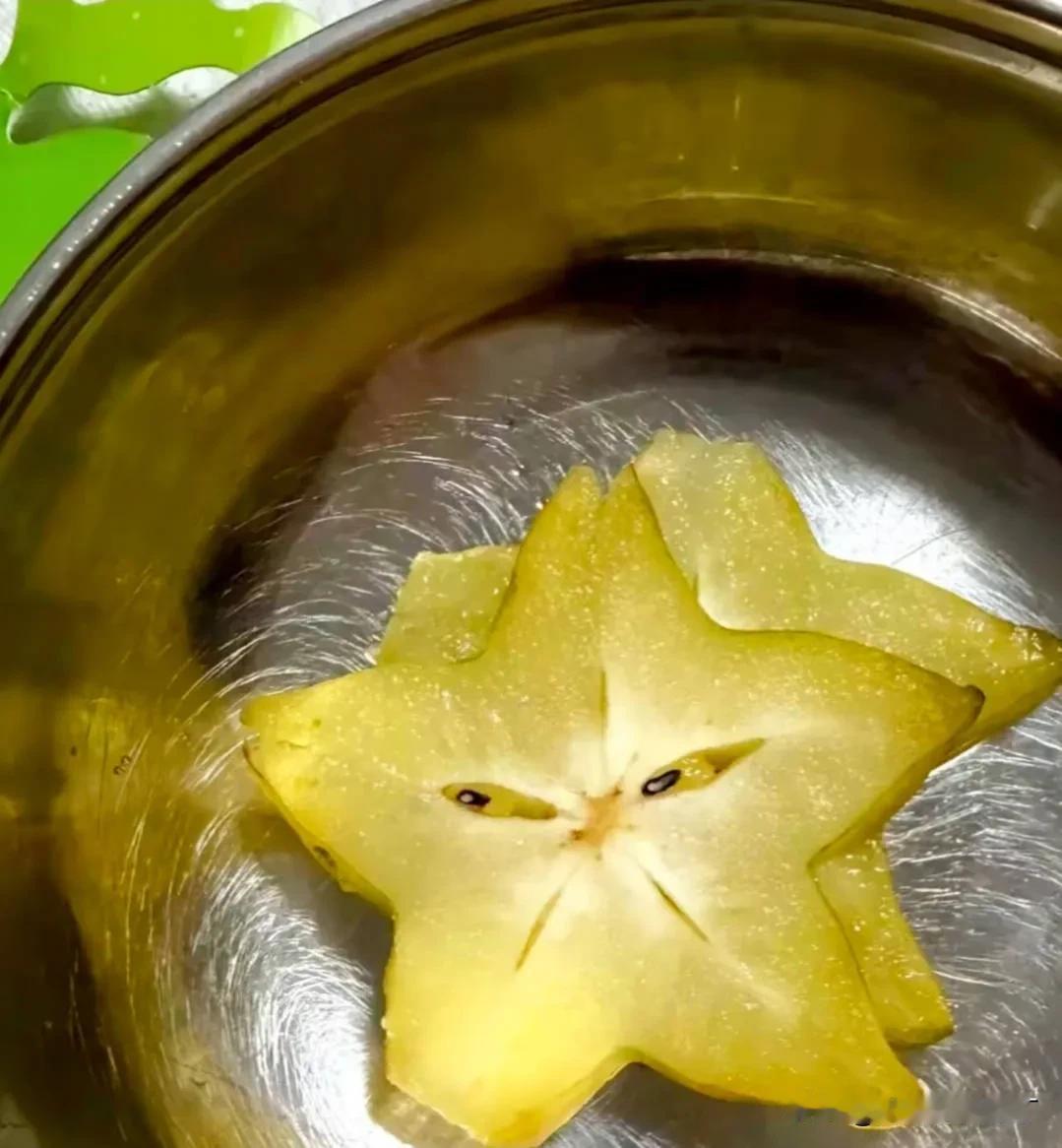 植物也是有感情的！

夹缝里的植物 聊点植物 聊点植物 这就是我养植物 植物静心