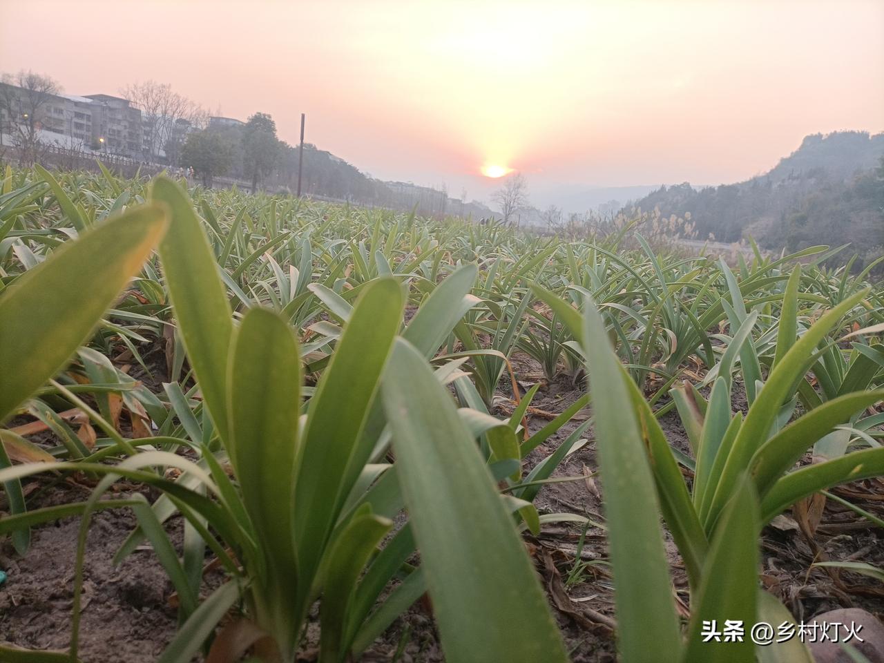 回家休息几天，明天又要进甘孜了!
有没有谁觉得上班的时间太长，休息的时间太短？