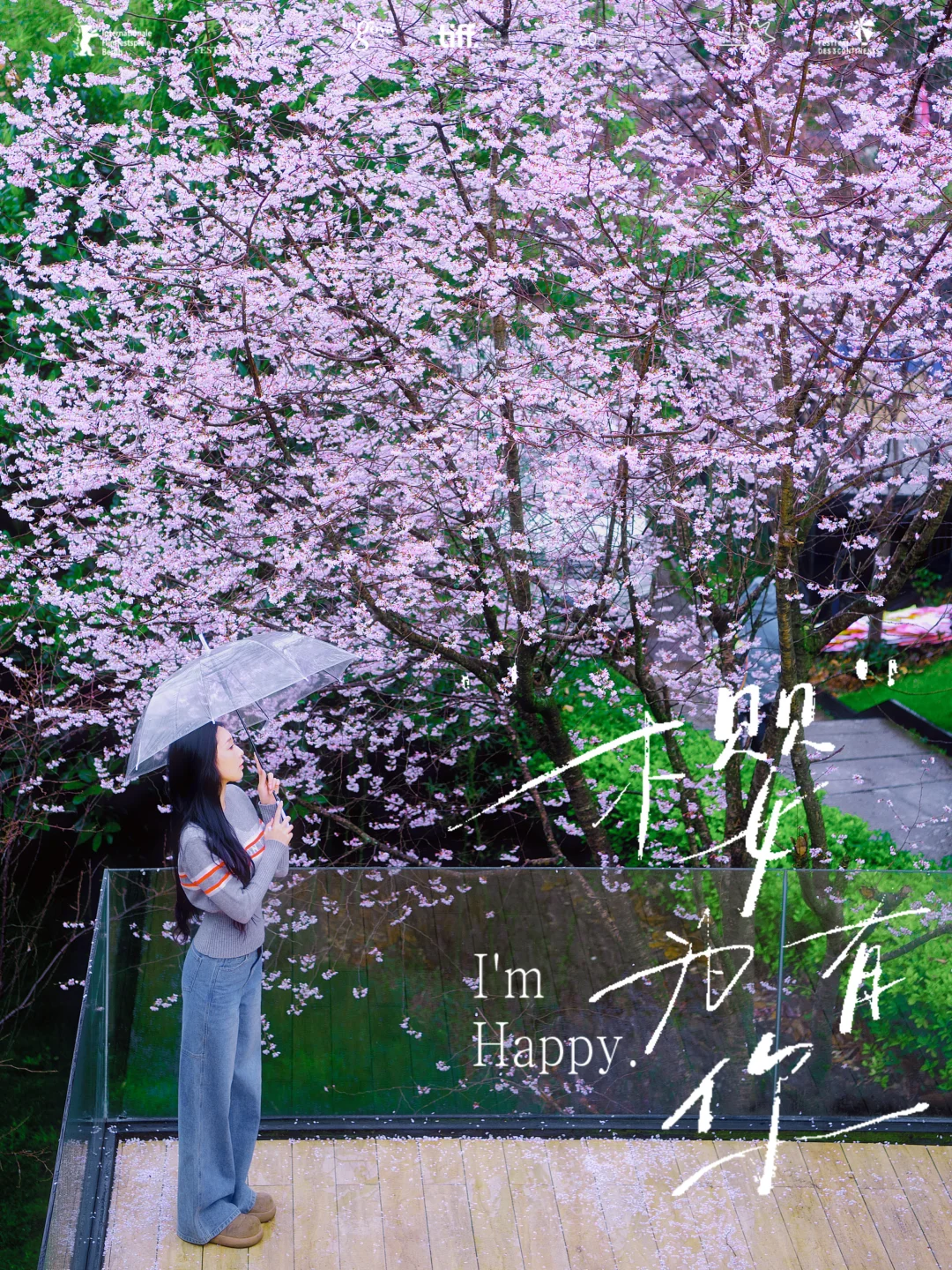 杭州🌸的樱花浓度已经达到1000%