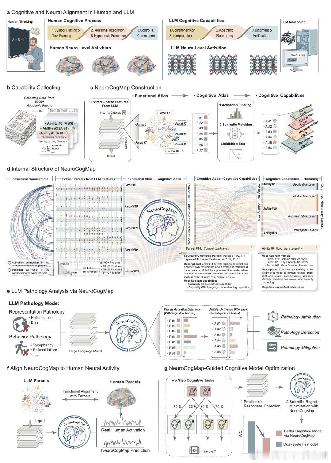 [AI]《NeuroCogMap Reveals Cognitive Organ
