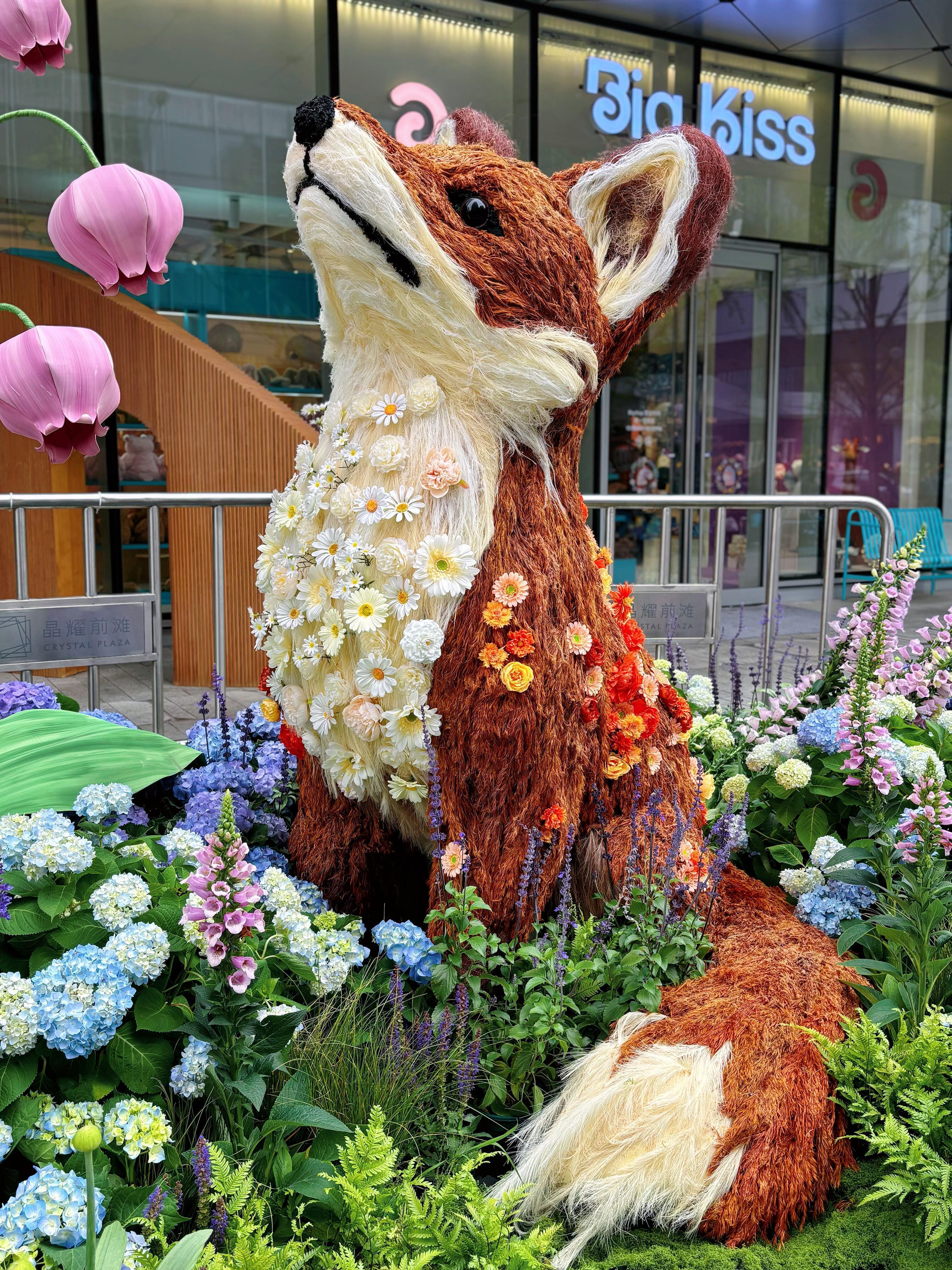 上海前滩公园巷以及前滩公园，4月18开始的花卉展，好美啊 