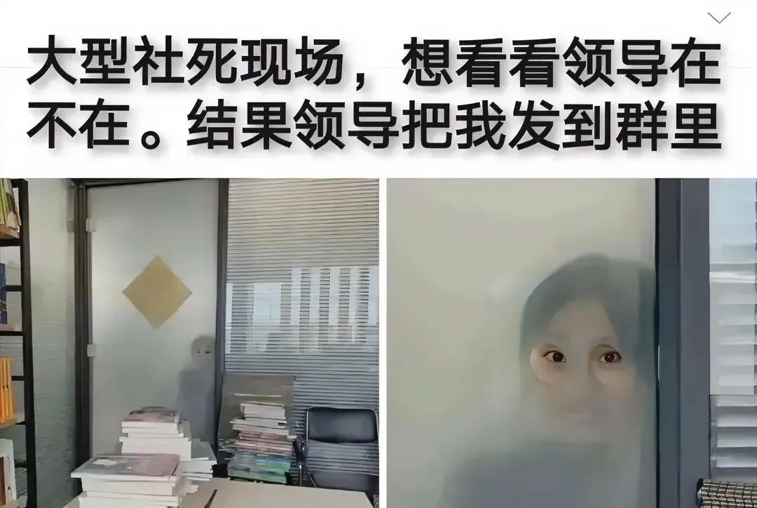 领导：刚准备干活，发现门口蹲个猴