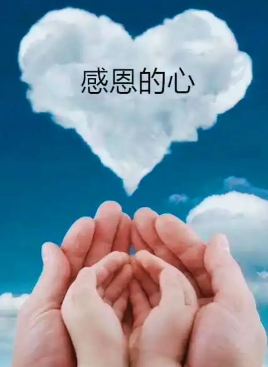#你对感恩之心有何体会?#
感恩之心是一种极其珍贵和美好的情感。
 
拥有感恩之