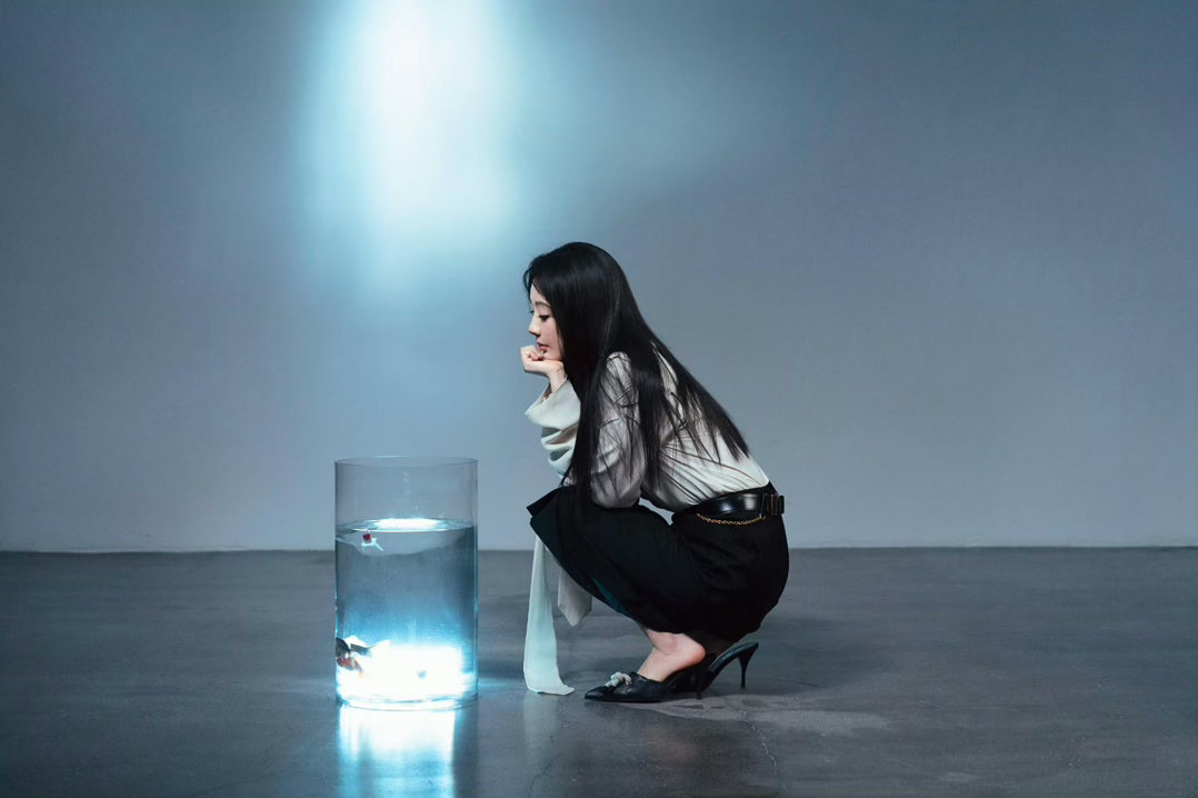杨紫  yz杨紫锦绣芳华 yz杨紫何惟芳 “𝓜𝓪𝔂 𝔂𝓸𝓾 𝓰𝓻
