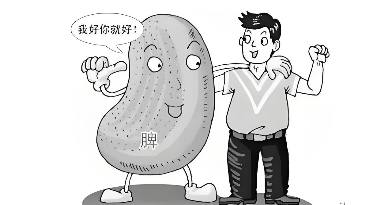 🌟【中医智慧】脾胃虚弱？先学会与自己温柔相拥✨
在这个快节奏的时代，你是否常感