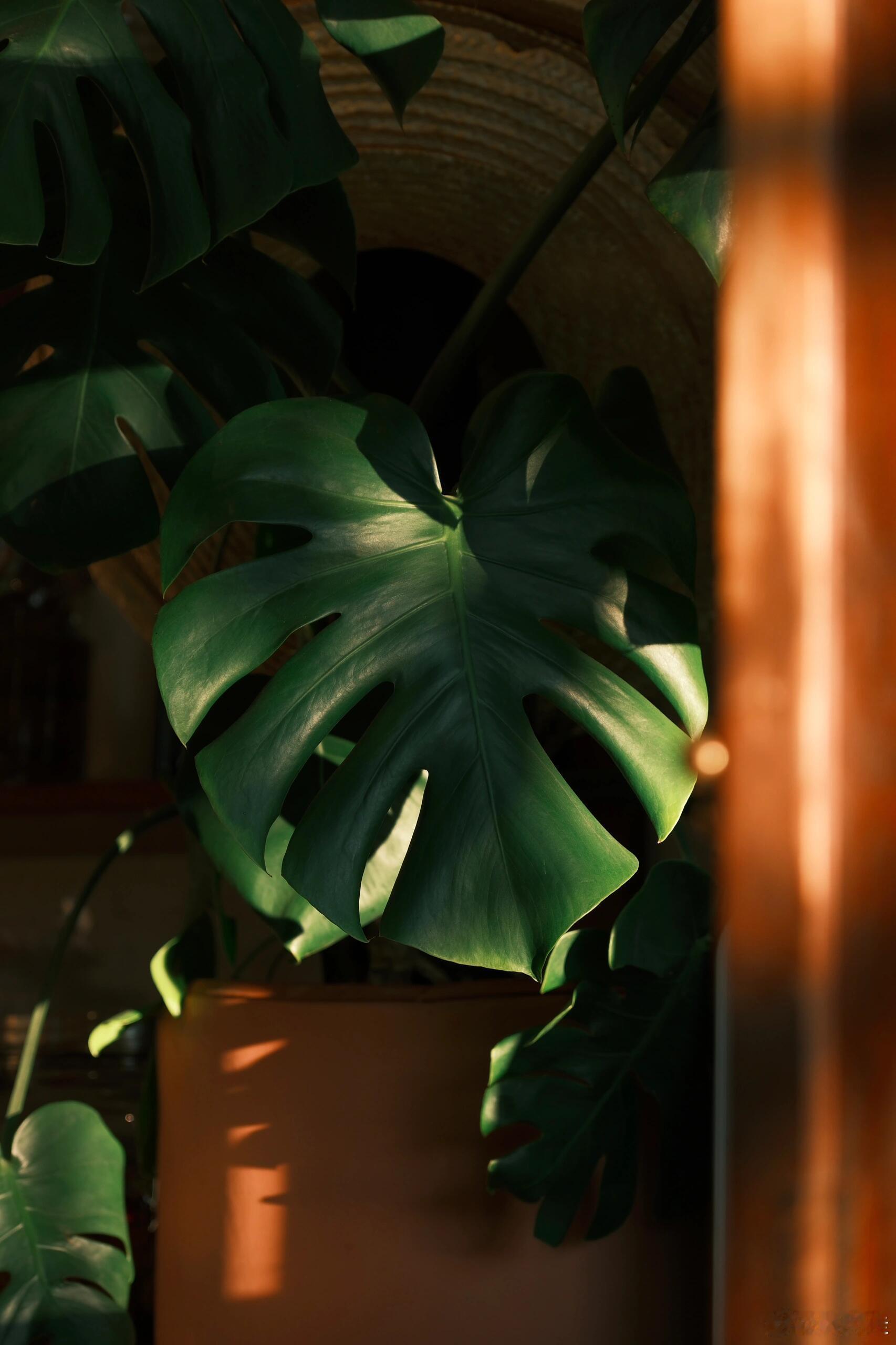 请把别人的尊重，当作一份意外的礼物。有，则心怀感恩；无，就一笑置之。我们要做的就