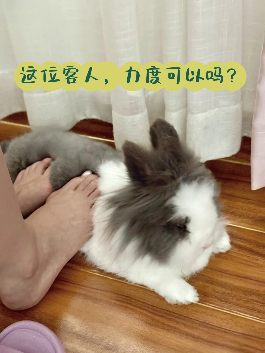 按摩请付费哦~~